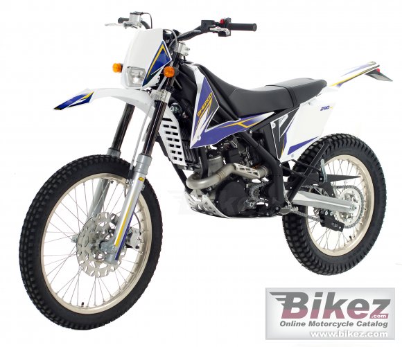 2013 Sherco X-Ride 290 photo